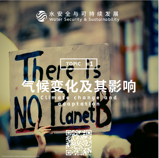 金沙娱乐城官网